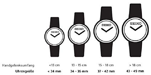 Seiko 4R35 Caliber watch