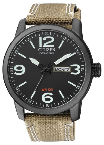 Citizen Eco Drive Youth watch